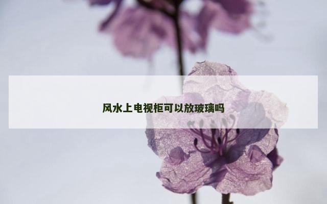 风水上电视柜可以放玻璃吗