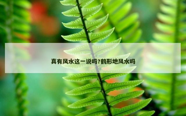 真有风水这一说吗?鹤形地风水吗
