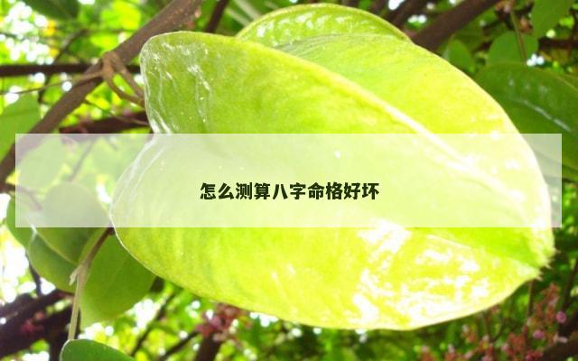 怎么测算八字命格好坏
