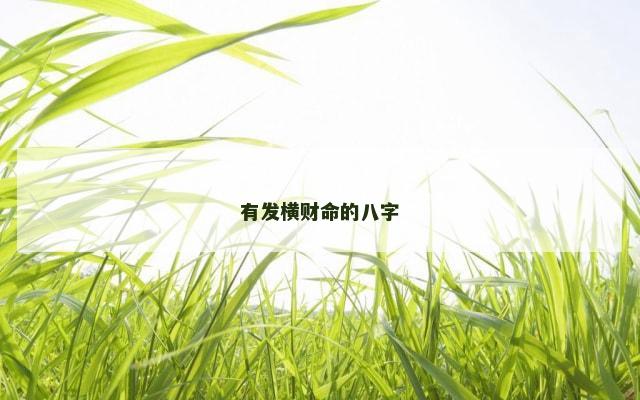 有发横财命的八字
