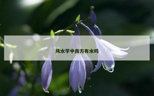 风水学中南方有水吗