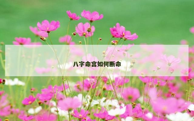 八字命宫如何断命