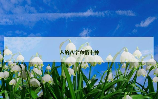 人的八字命格十神