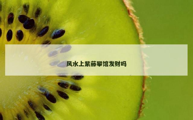 风水上紫藤攀馆发财吗