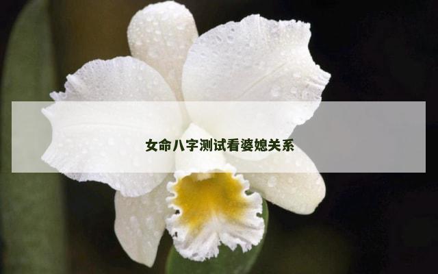 女命八字测试看婆媳关系