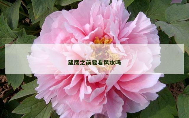 建房之前要看风水吗