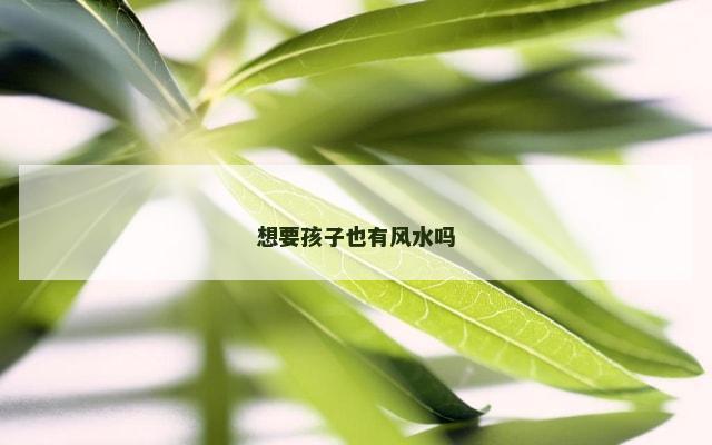 想要孩子也有风水吗