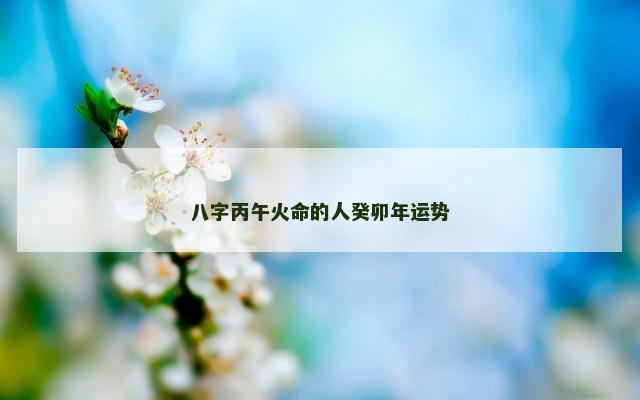八字丙午火命的人癸卯年运势