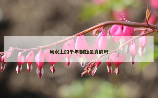 风水上的千年铜钱是真的吗