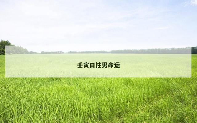 壬寅日柱男命运