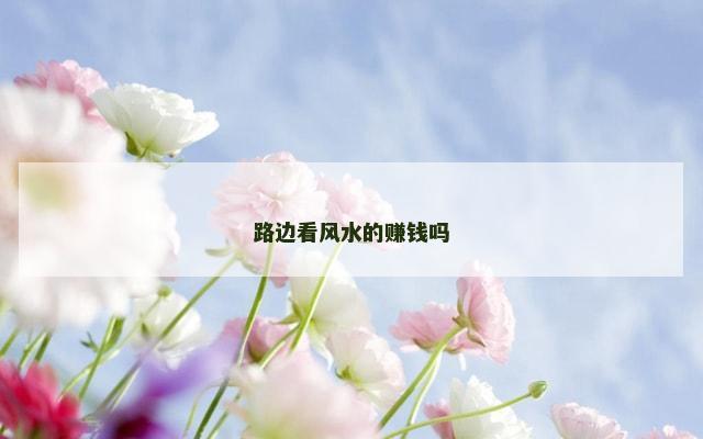 路边看风水的赚钱吗