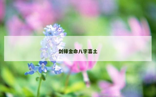 剑锋金命八字喜土