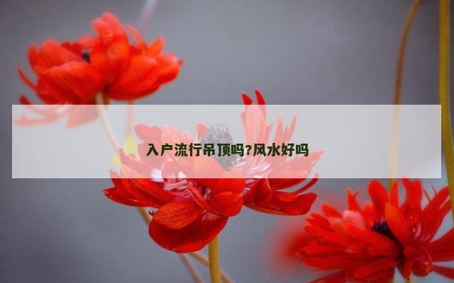 入户流行吊顶吗?风水好吗