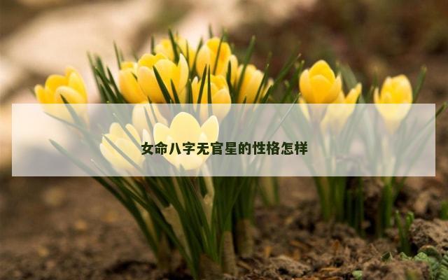 女命八字无官星的性格怎样
