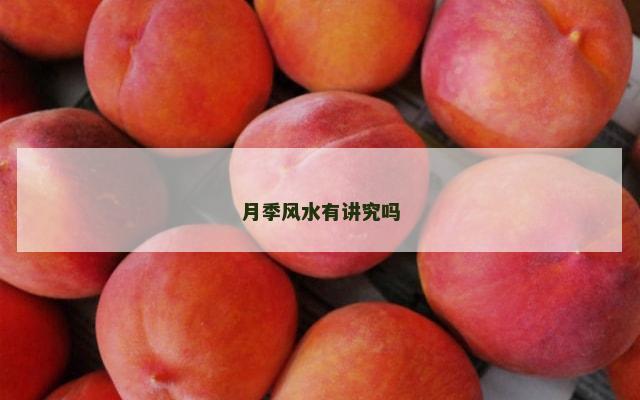 月季风水有讲究吗