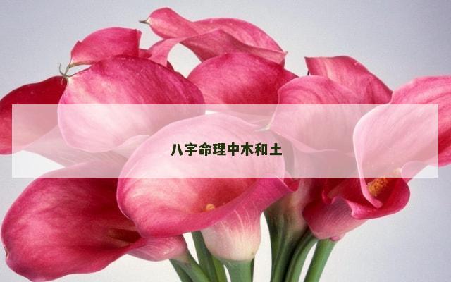 八字命理中木和土