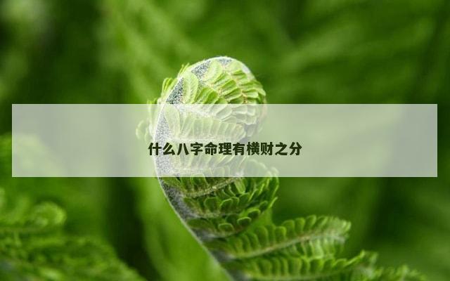 什么八字命理有横财之分