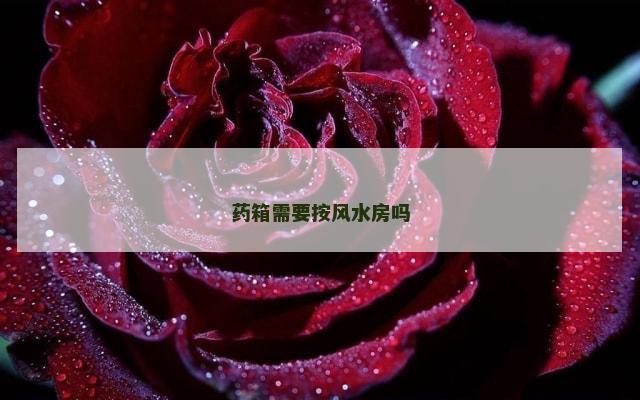 药箱需要按风水房吗