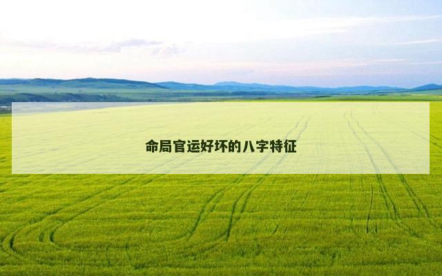 命局官运好坏的八字特征
