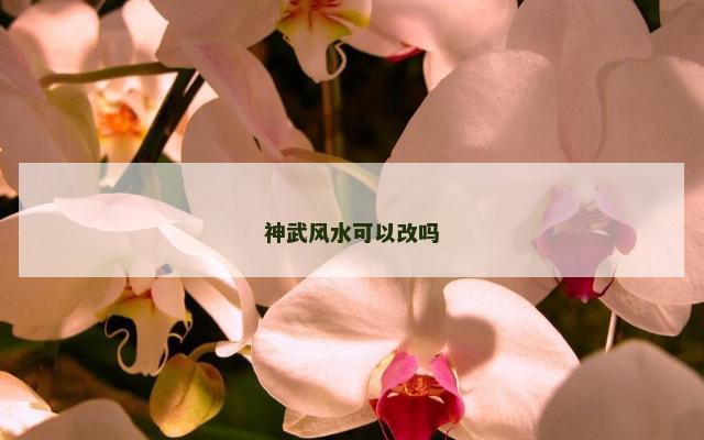 神武风水可以改吗