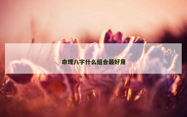 命理八字什么组合最好用