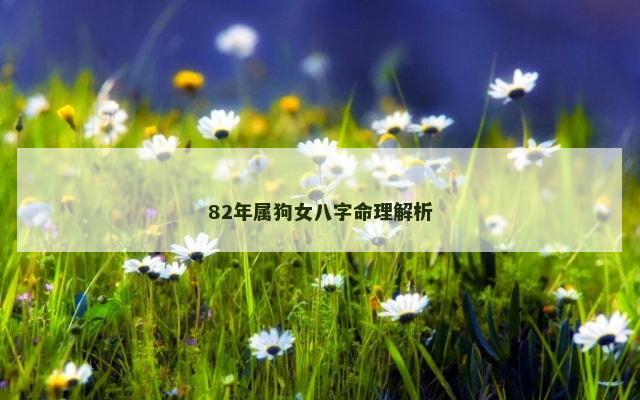 82年属狗女八字命理解析