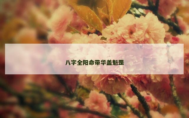 八字全阳命带华盖魁罡