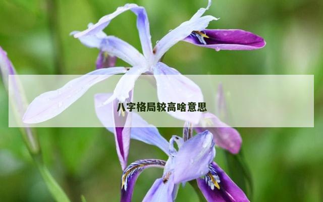 八字格局较高啥意思