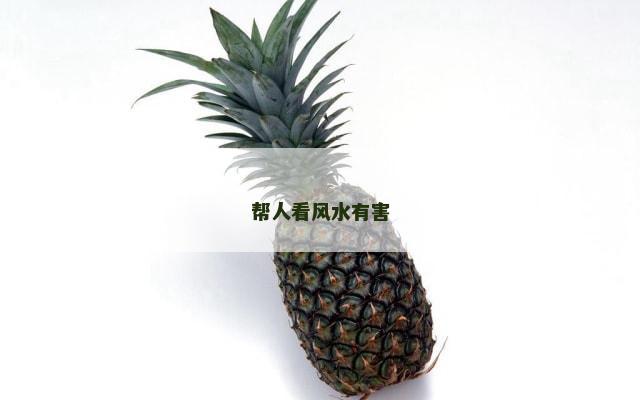 帮人看风水有害