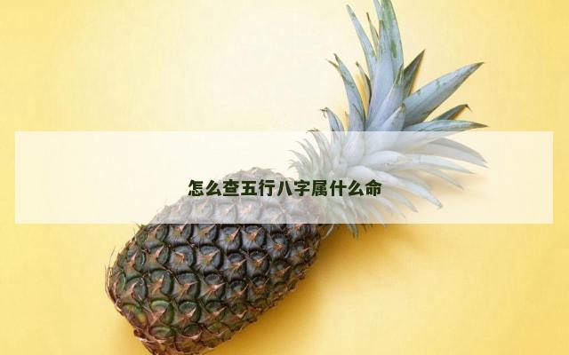 怎么查五行八字属什么命