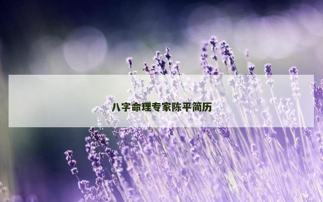 八字命理专家陈平简历