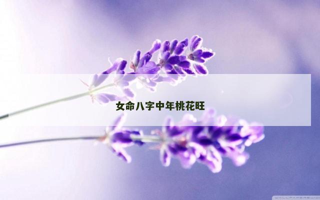 女命八字中年桃花旺