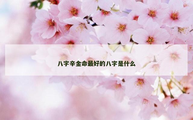 八字辛金命最好的八字是什么