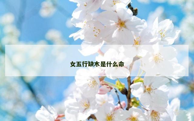 女五行缺木是什么命