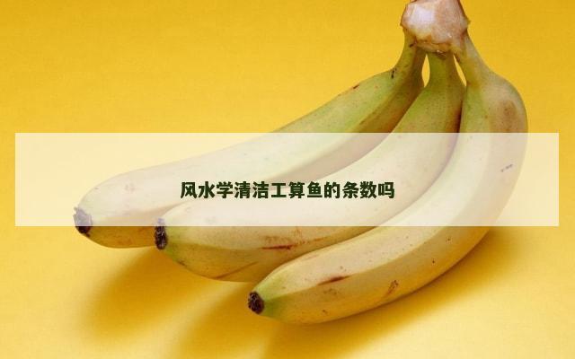 风水学清洁工算鱼的条数吗