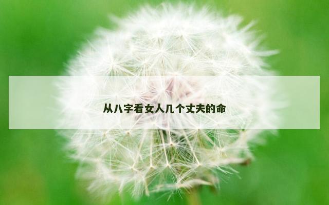 从八字看女人几个丈夫的命