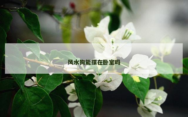 风水狗能摆在卧室吗
