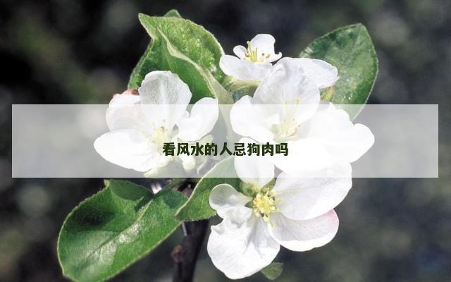 看风水的人忌狗肉吗