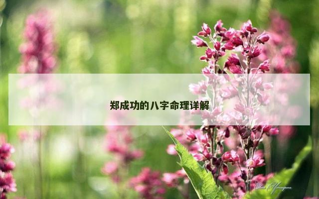 郑成功的八字命理详解