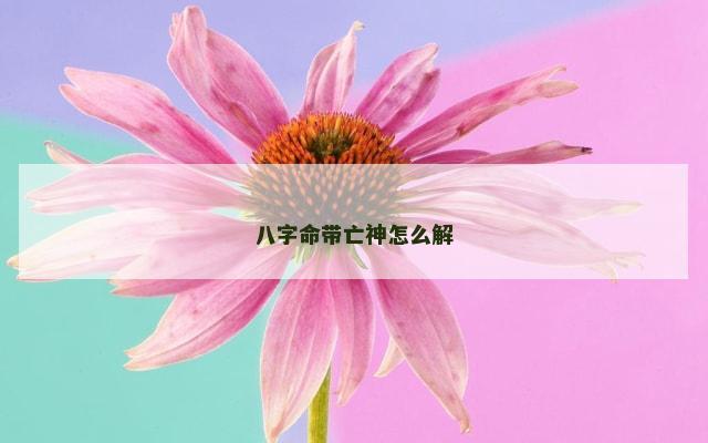 八字命带亡神怎么解