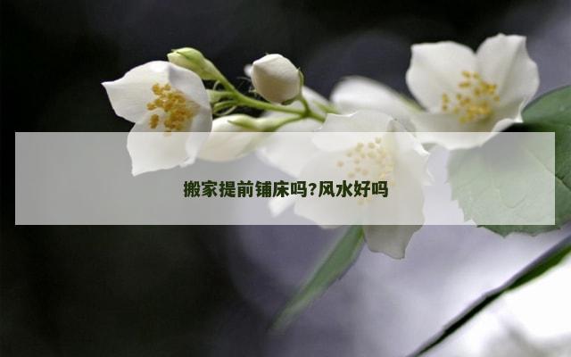 搬家提前铺床吗?风水好吗