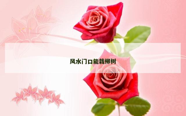风水门口能栽柳树