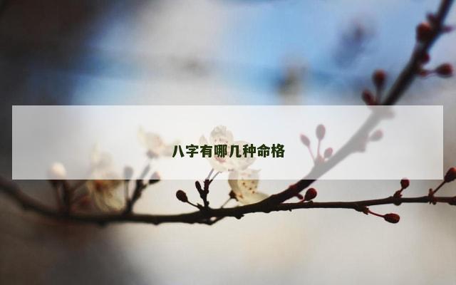 八字有哪几种命格