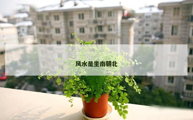 风水是坐南朝北