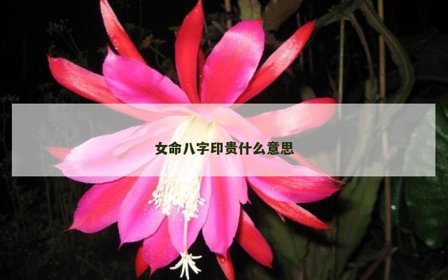 女命八字印贵什么意思