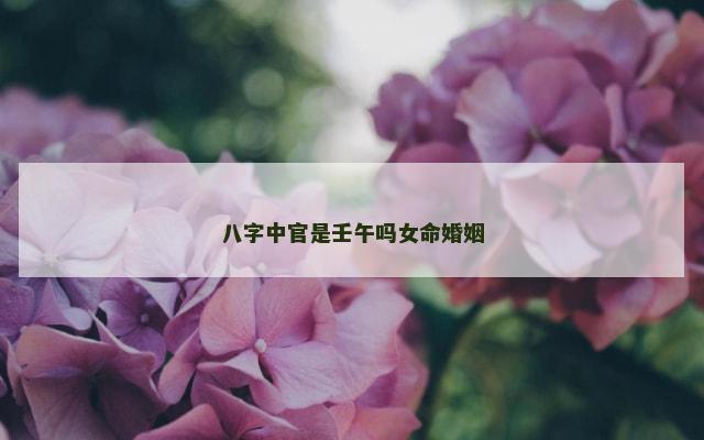 八字中官是壬午吗女命婚姻