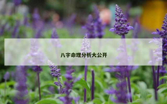 八字命理分析大公开