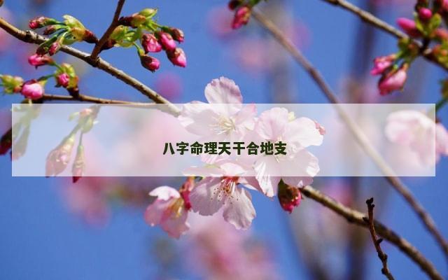 八字命理天干合地支