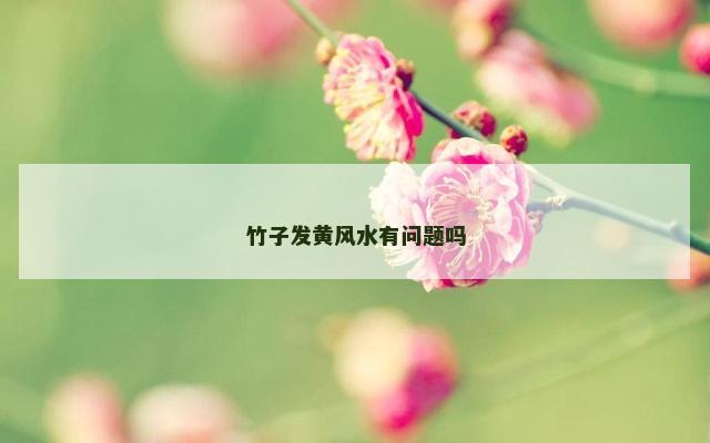 竹子发黄风水有问题吗