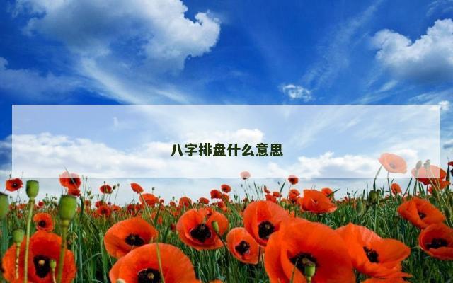 八字排盘什么意思